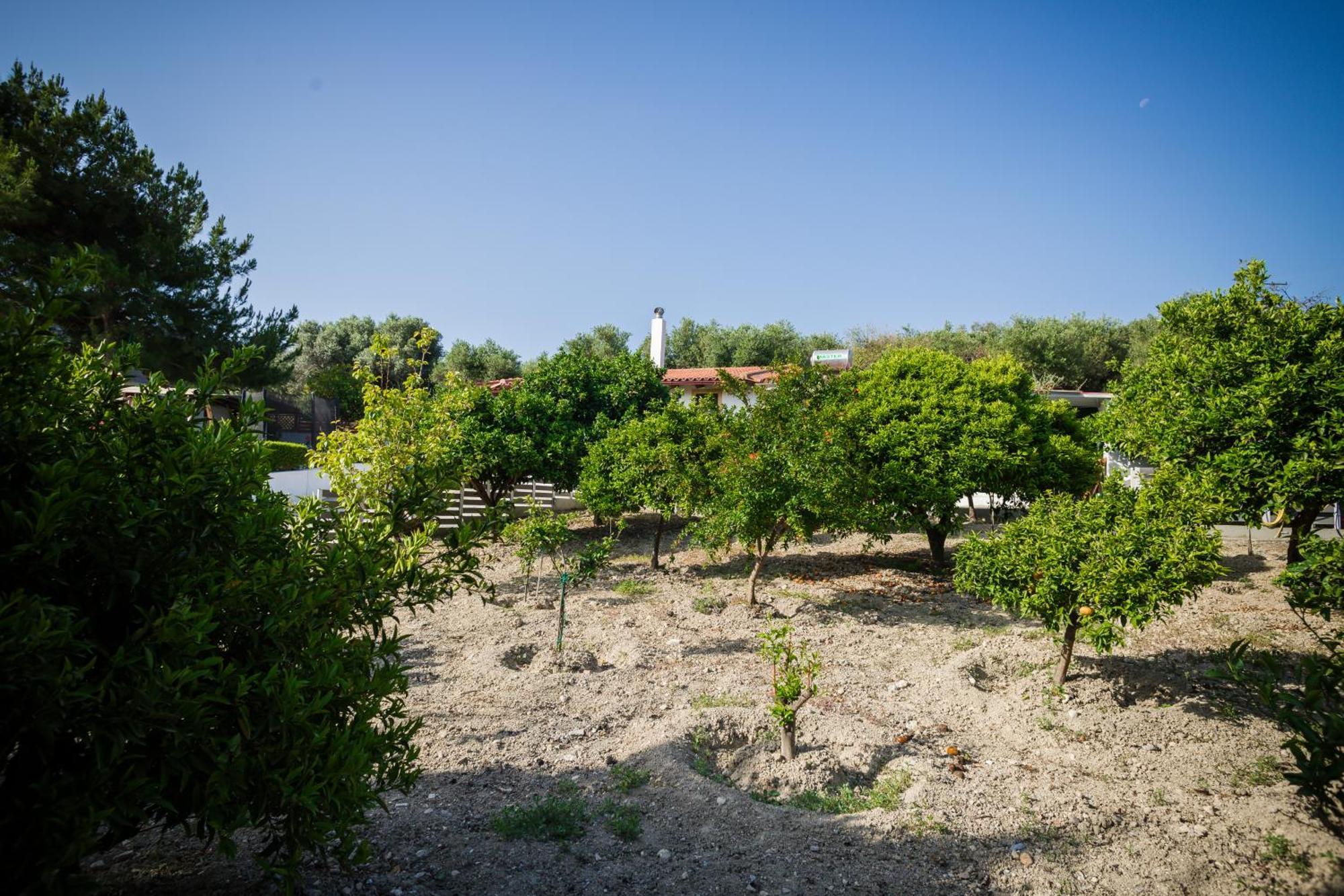Villa Metochi Réthymnon Extérieur photo